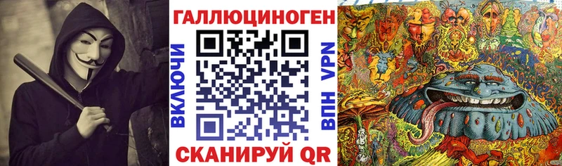 даркнет сайт  Полесск  Галлюциногенные грибы Psilocybe 